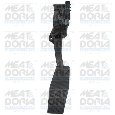 Accelerator Pedal Unit